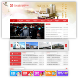 武汉武商集团股份有限公司