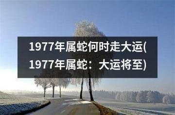 属蛇大运在什么时候(属蛇36岁开始走大运)