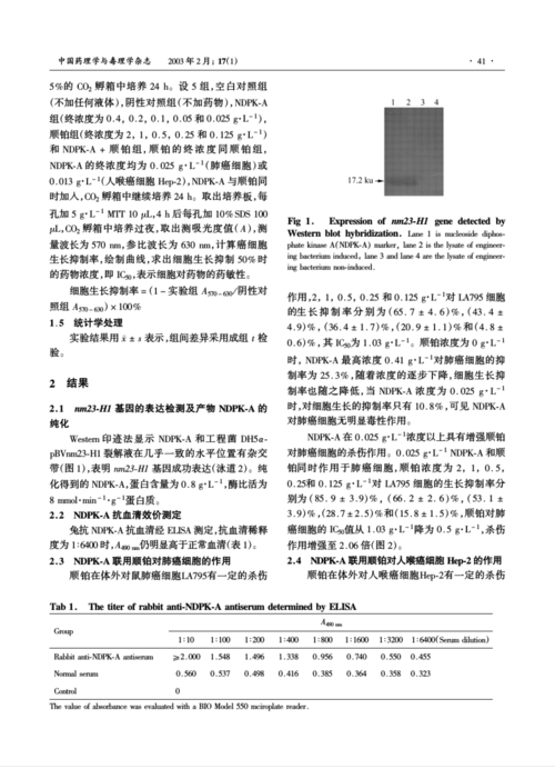 烯酰胺凝胶电泳(sds-page)和western印迹杂交来监测和鉴定目标蛋白