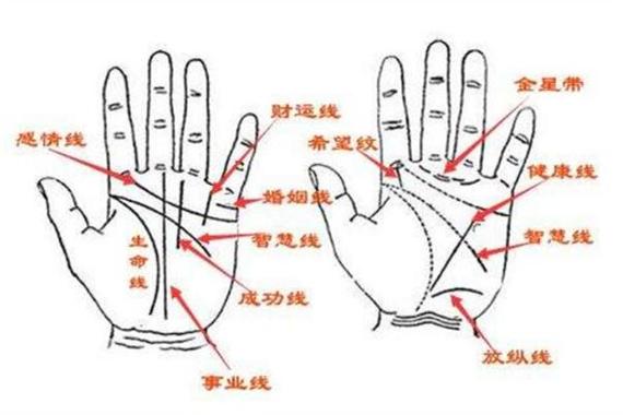 梦见看手相说不好(梦见看手相的说我命不好)