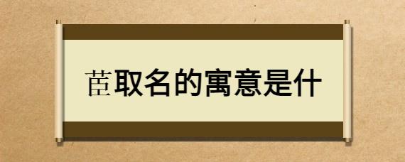 茞字义指古书中的一种草的名称,有时亦指代贤良之臣.