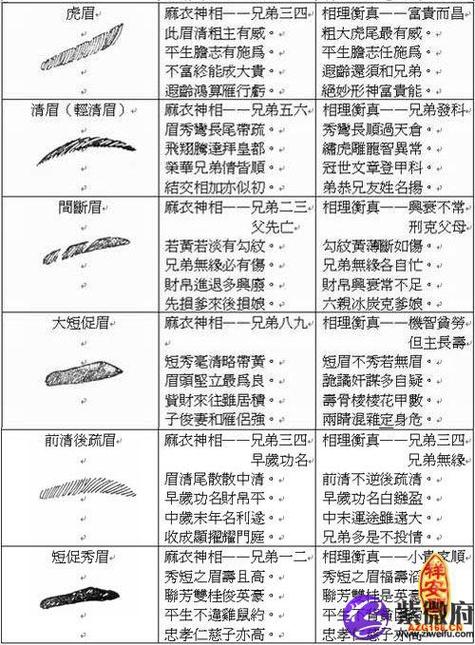 面相眉毛算命图解