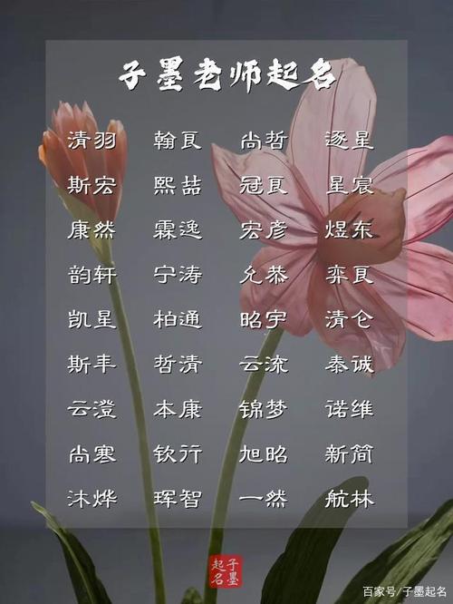 无用之用,方为大用,用者稀少的男孩名字