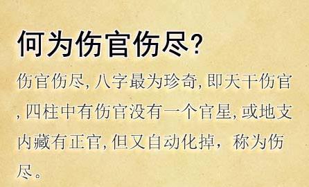 有哪些著名人物伤官伤尽 有哪些著名人物伤官伤尽的故事