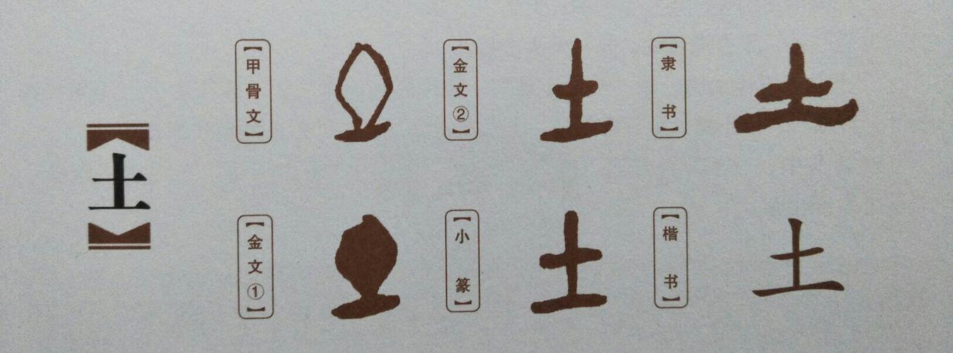 【第一课】王,土说文解字