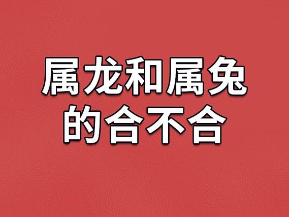 属龙和属兔的合不合