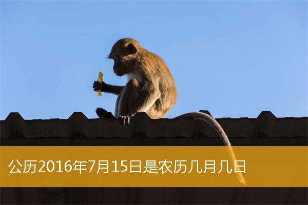 公历2023年7月15日是农历几月几日