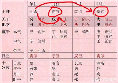 八字伤官合杀的命理特征