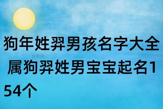 狗年姓羿男孩名字大全 属狗羿姓男宝宝起名154个