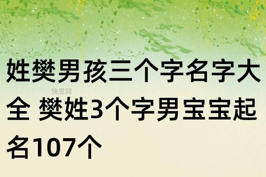 姓樊男孩三个字名字大全 樊姓3个字男宝宝起名107个