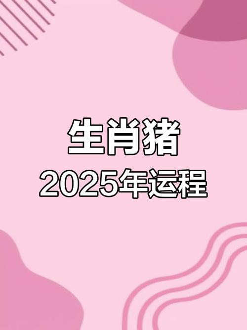 属猪2023年运程 猪女今年运势如何