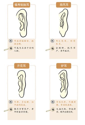 面相速查之相耳