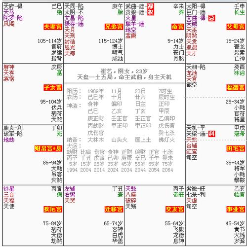 紫微斗数怎样排盘 紫微斗数排盘app