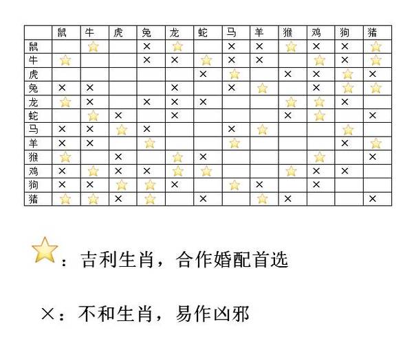 生肖对冲表2023 生肖对冲表规律