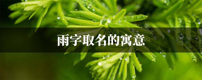 雨字取名的寓意