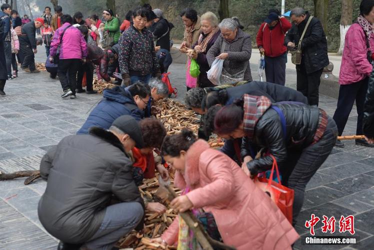 2023年2月8日,新年第一天,市民会到寺庙上香拜佛,返回时带上一些柴