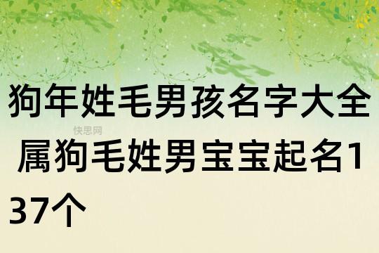 狗年姓毛男孩名字大全 属狗毛姓男宝宝起名137个