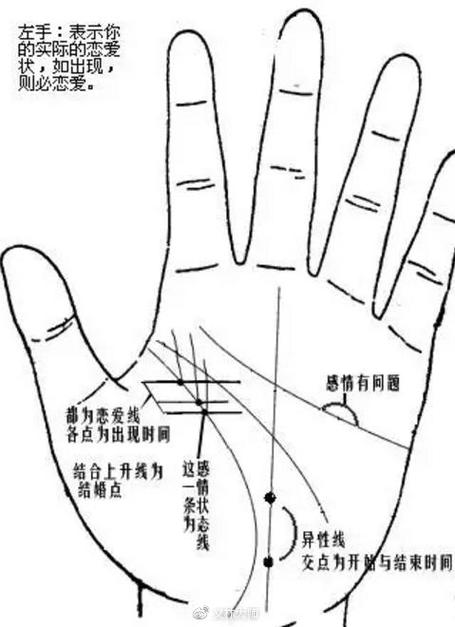 掌纹看人生1)生命线生命纹--从大拇指与食指中间的掌边开始,往掌底走