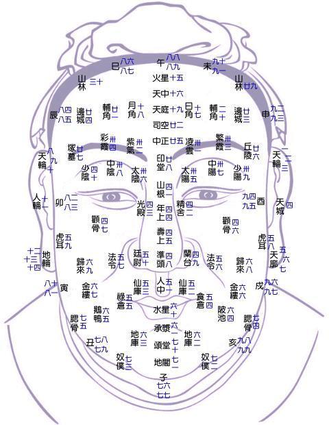 公笃相法〕面相部位及流年运限