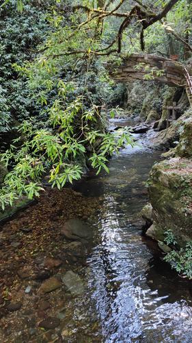 山间小溪