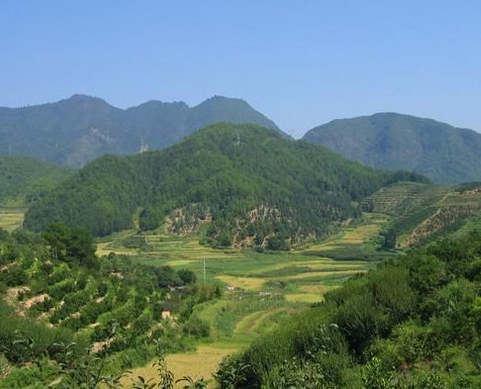 风水蜻蜓点水是什么 蜻蜓点水风水宝地图片 - 装修公司