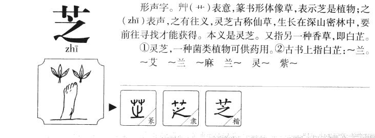 芝的意思及取名寓意