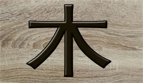 五行属水和木的字(五行属水和木的字有哪些女孩用)