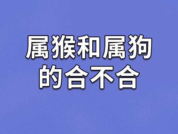 82狗能生2025蛇宝宝吗属狗卜易居(属狗属猴生什么宝宝)