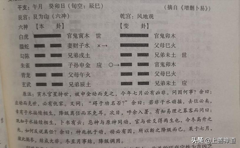 六爻两个动爻无用动爻的种类