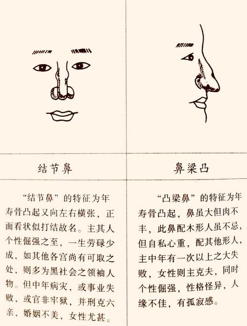 面相鼻为人生的缩影