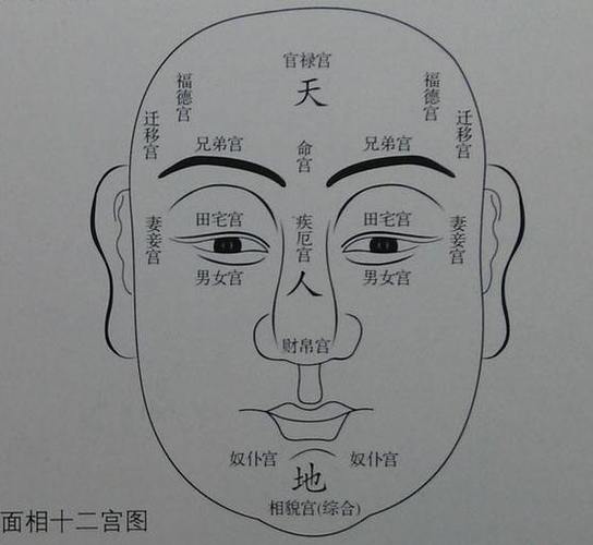 面相十二宫是什么?面相十二宫有什么作用?-风水八字同城网