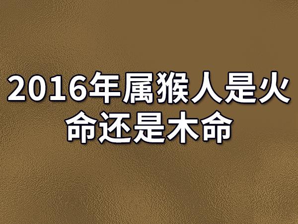 属猴1992什么命 1992年属猴男是什么命