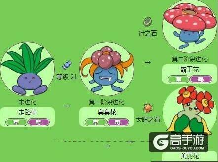 《口袋妖怪go》臭臭花怎么样?精灵宝可梦go臭臭花属性技能图鉴