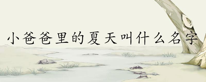 小爸爸里的夏天叫什么名字