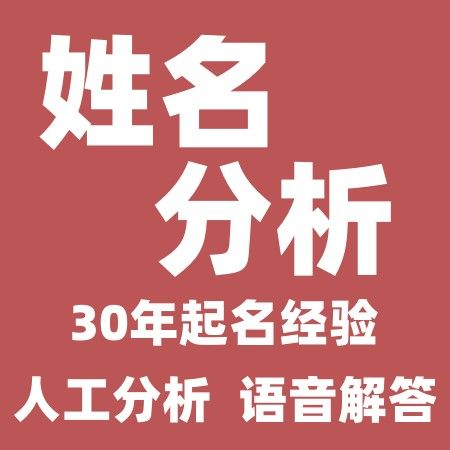 起名人工分析姓名改名名字怎么样新生儿起名取名解析名字利弊