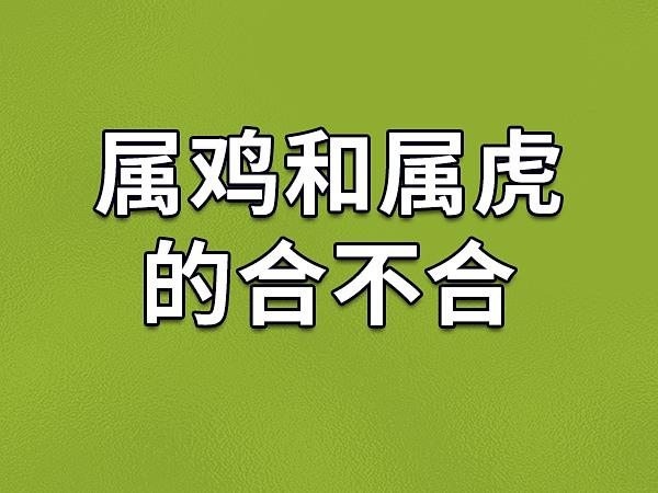 属虎在鸡年运势如何 属虎今日运势