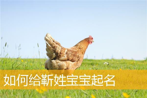 如何给靳姓宝宝起名