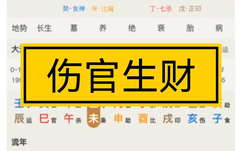 海外粉丝案例伤官生财八字人生赢家