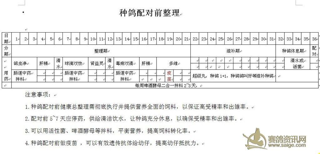 种鸽配对前用药顺序(种鸽配对期间用药有无影响)