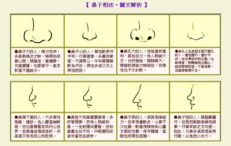 [鼻子歪面相]成涛面相鼻子相法