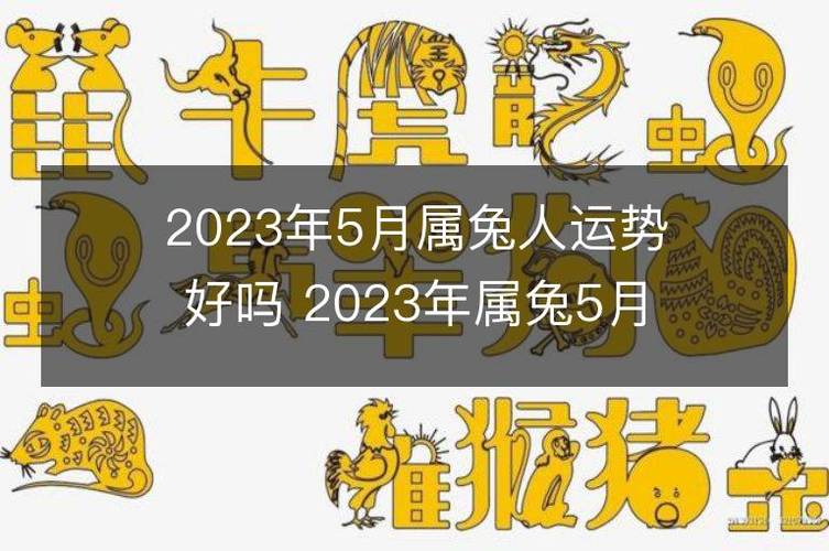 2023年5月属兔人运势好吗 2023年属兔5月运程如何