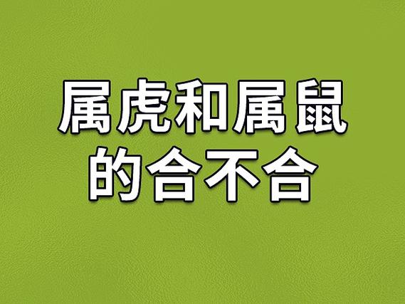 属虎与什么属相最配 属虎最佳配偶属相