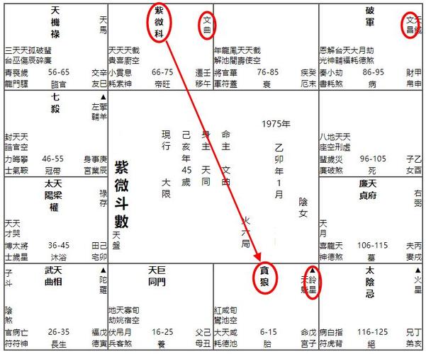 官禄宫紫微贪狼禄存