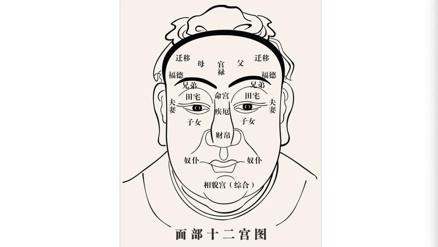 李淡先生教你认识面相十二宫