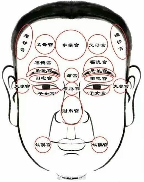 面相基础知识.上中下庭,二府,12宫代表流年.