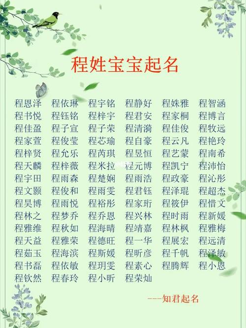 男宝姓程叫什么名字好大运起名