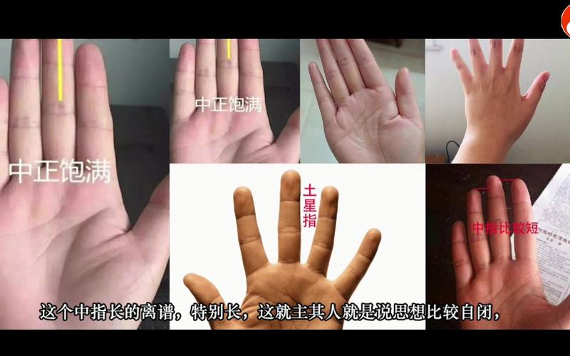 手纹识人术,不同情况的中指所代表的含义?