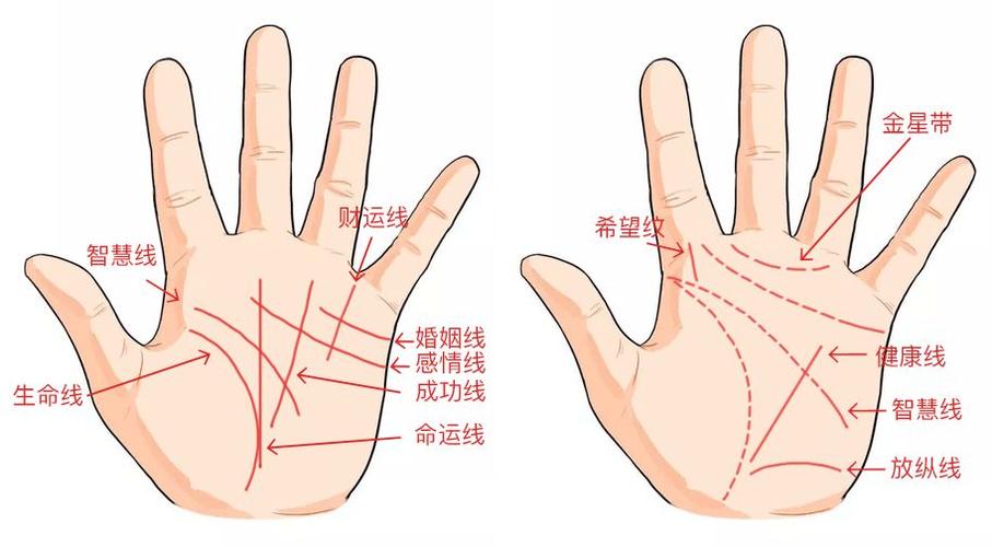 从手相看穿你的事业婚姻财运!准到没朋友