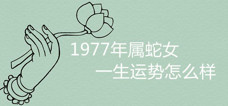 2023年属蛇遇到真爱 2023年属蛇人的感情和婚姻