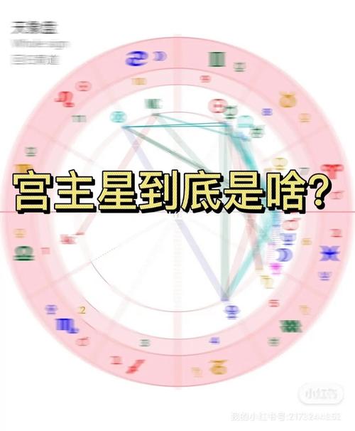 一张图说明宫主星到底是什么